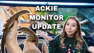 What Happened To My Ackie Monitor [upl. by Inoliel]