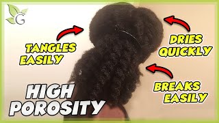 Is your hair HIGH POROSITY How to know  Care tips [upl. by Amsirahc411]