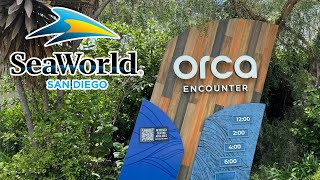 Orca Encounter Show  SeaWorld San Diego  2024 4K [upl. by Ibloc831]