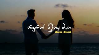 Nidukin Inu Mana  නිදුකින් ඉනු මැන  Slowed  Reverb  PASIYA vibes [upl. by Faso190]