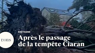 Tempête Ciaran  les dégâts en Bretagne après les puissantes rafales de vent [upl. by Haliak]