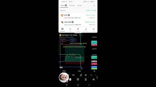 Rimsa mcx World is live Xauusd and BTC live trade [upl. by Trimmer323]