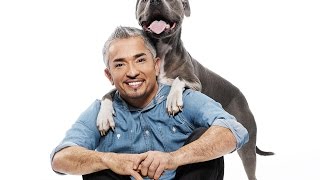 Cesar 911 S02E12 Nani Nightmare [upl. by Fons]