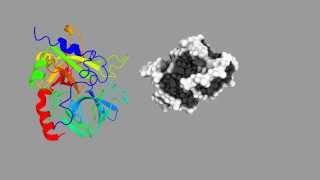 Simulation of the aptamerthrombin binding [upl. by Viviyan711]