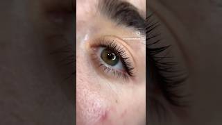 Lash Lift  Tint in Orange County lashlift huntingtonbeach soloesthetician lashliftandtint fyp [upl. by Islek]