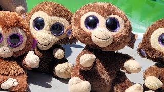 Beanie Boo Coconuts Review  Adorable Plushie CloseUp [upl. by Nagud690]