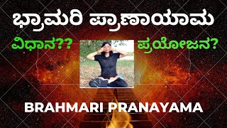 ಭ್ರಾಮರಿ ಪ್ರಾಣಾಯಾಮವಿಧಾನಲಾಭ। Bhramari pranayama amp benefits priyankayogashaala [upl. by Nerraj730]