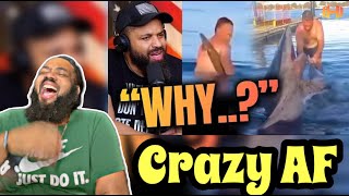 HODGETWINS  Guy Playing With A Shark Pays The Ultimate Price  REACTION TRY NOT TO LAUGH [upl. by Alomeda]