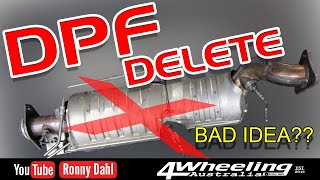 DPF DELETE BAD IDEA removing a Diesel Particulate Filter [upl. by Ynottirb803]