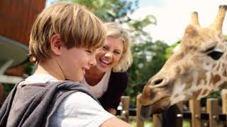 Visit Taronga Zoo Sydney these school holidays [upl. by Etteloiv911]