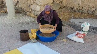 eski usul nohut fasulye temizledim✅️toz biber cektirdim✅️salçalar kurudu bidona doldurdum [upl. by Arita882]