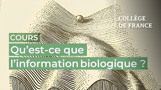 Qu’estce que l’information biologique  1  Thomas Lecuit 20242025 [upl. by Sergu163]