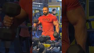 Behrooz Tabani Ifbb Pro  Behrouz Tabani  Arm Workout  Mr Olympia 2023  Road to Olympia  Update [upl. by Stephine]