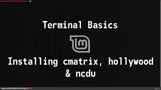 Terminal Basics  Installing cmatrix hollywood and ncdu  Linux Mint [upl. by Anuait364]