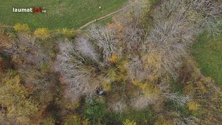 Auto am Gmundnerberg in Altmünster in steiles Gelände abgestürzt [upl. by Kazmirci]