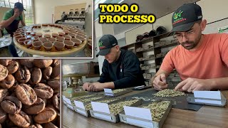 COMO É FEITO O PROCESSO DE CLASSIFICAÇÃO TORRA E DEGUSTAÇÃO DO CAFÉ [upl. by Niuqaoj]