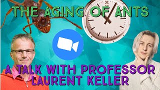 The Aging Of Ants  A Talk With Professor Laurent Keller [upl. by Shelly171]