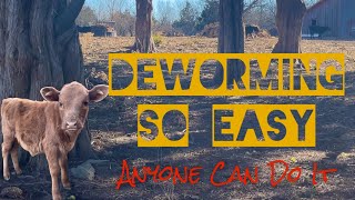 Cattle Dewormer The Easy Way [upl. by Rame]