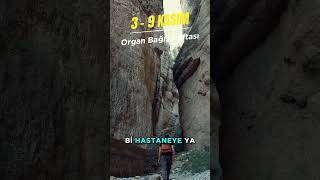 20 Yıllık Böbrek Nakilliyim Organ Bağışı Hayat Kurtarır [upl. by Gruver]