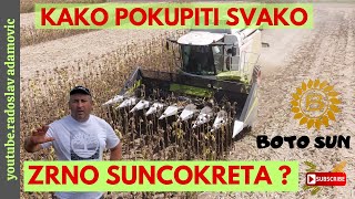 KAKO POKUPITI SVAKO ZRNO SUNCOKRETA BOTO SUN ADAPTER  HOW TO COLLECT EACH SUNFLOWER SEED [upl. by Ahtennek]