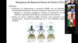 Clase Inmunidad innata 9 de septiembre 2021 [upl. by Naryb]