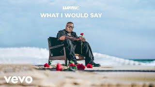 Lloyiso  What I Would Say Visualizer [upl. by Moitoso]