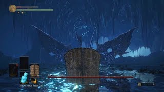 Giant Door Shield vs Darkeater Midir NG7  No Damage [upl. by Redfield]