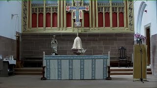 Evening Mass Wednesday 21 Aug 2024 Kensington Carmelite Church [upl. by Seiuqram]