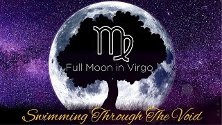 Full Moon in Virgo Portal✨Tarot and Activations Tarotmony [upl. by Eiltan]