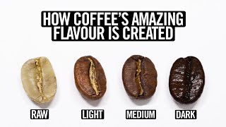 Coffee Roasting Explained [upl. by Juliet]