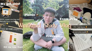 Productive weekend study vlog 🪁  Cramming for finals productive days picnics food nature 🙈 [upl. by Aliakam]