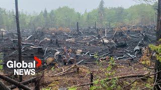 Wildfires rage across Canada many out of control quotA lot of devastationquot [upl. by Carlene]