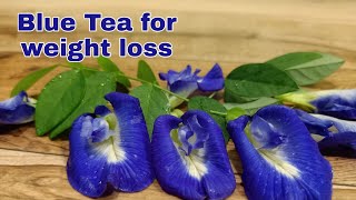 butterfly pea flower तेजी से वजन कम करना है तो ग्रीन टी नहीं Blue Tea पिया करो  shorts [upl. by Downes457]