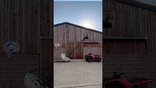 How do you get on a Quad bike colinfurze [upl. by Farmelo]