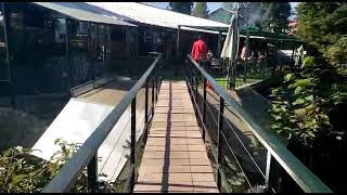 treehouse in alpine hotelnathiagalikpkPakistanpicnicspots [upl. by Walter]