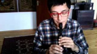 music lesson 5 first steps with a descant recorder [upl. by Trebreh984]