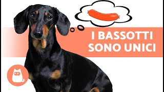 10 COSE che CAPIRAI SOLO se hai un BASSOTTO 🐶❤️ [upl. by Toth]