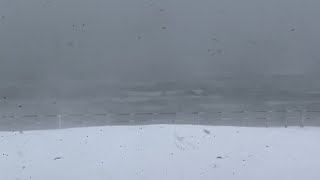 INTENSE BLIZZARD ON THE LAKE MICHIGAN SHORELINE FROM BERRIEN COUNTY MICHIGAN 122322 weather [upl. by Navanod]