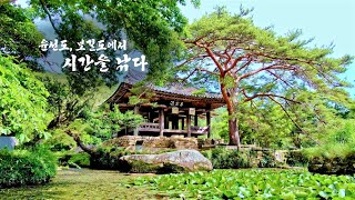 UHD아름다운 자연유산 숨결 자연을 품은 한국의 정원 보길도 윤선도 원림 [upl. by Eliott]