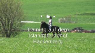 Islandpferde Training [upl. by Oibesue]