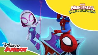 👀 Avem un intrus  Păienjenelul Marvel și prietenii lui uimitori  Disney Junior România [upl. by Ahsiugal]