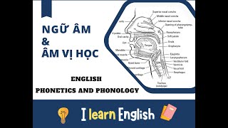 English Phonetics and Phonology lecture 1 [upl. by Landry]