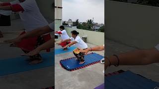 Part6  International yoga protocol  KNEE MOVEMENT smartyoga [upl. by Eintruok]