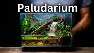 I Made a Paludarium With a Working Waterfall Here’s How [upl. by Dercy]