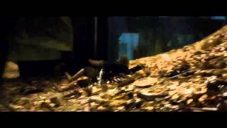 O Hobbit A Desolação de Smaug trailer HD [upl. by Bruner502]