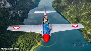 Airborne Affordable Flyers 032824 EHawk Trainer Bearhawk Changeover Scalewings SW51 [upl. by Nyrhtak]