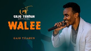 Gajo Tilahun WALEE New Oromo Music video 2024 [upl. by Huda]