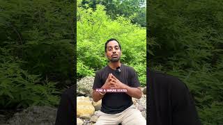 KNOW THE MEANING OF POWERFUL MANTRA quotOM MANI PADME HUMquot sanatandharma spritualism youtubeshorts [upl. by Cioffred]