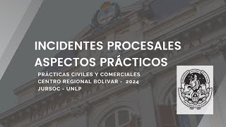 Práctica de los incidentes procesales [upl. by Kwabena827]