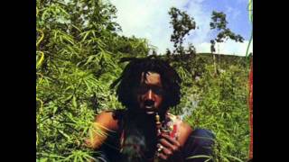 Peter Tosh  Burial [upl. by Iila]